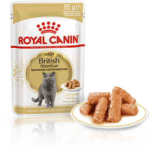 Изображение мини корма Royal Canin