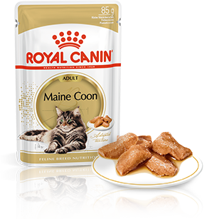 Изображение мини корма Royal Canin