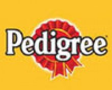 Pedigree_________4de358dc0cdd0.jpg