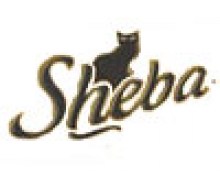 Sheba____________4de38308209e2.jpg