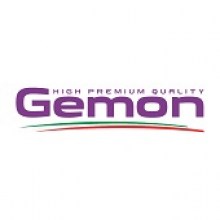 gemon-logo4