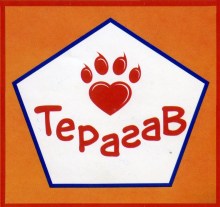 logo_teragav6