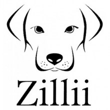 zillii-dog