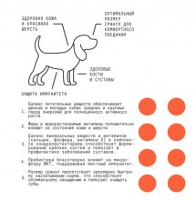 105_big