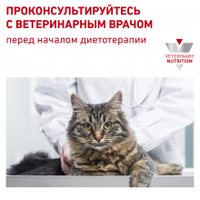 10_rc-vet-dry-caturinaryso-rus10