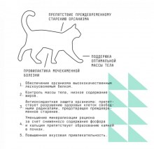 56_big