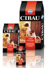 Cibau_Adult_Form_53479821f3713.jpg