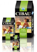Cibau_Puppy_Form_534792ec6407d.jpg