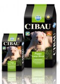 Cibau_Puppy_Larg_534795d6a5fb1.jpg
