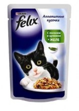 FELIX____________4e9436cfab52c.jpg