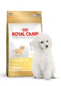 Poodle_33_Junior_4e246db3e3cdb.jpg