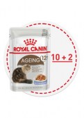 Royal_Canin_Agei_596f538f2bea0.jpg