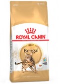 Royal_Canin_Beng_58778ee35d1b7.jpg