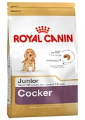 Royal_Canin_Cock_58a2dccd55e10.jpg