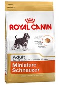 Royal_Canin_Mini_58a2e0c072fb4.jpg