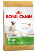Royal_Canin_Pug__54b4d2dbf2982.jpg