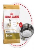 Royal_Canin_Sett_5992a742e65cf.jpg