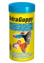 TetraGuppy_______4f83e748c7077.jpg