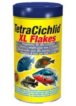 Tetra_Cichlid_XL_4f7b30cea23b1.jpg