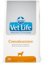 Vet_Life_Convale_534bd5c24ca73.jpg