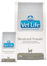 Vet_Life_Neutere_534bef6fac32a.jpg