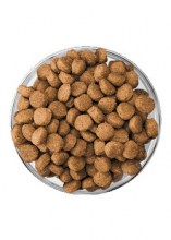 eukanuba-kibble-bowl-puppy-medium-large-breed