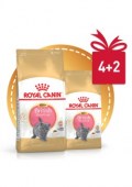 promo_Royal_Canin______58778984894c4.jpg