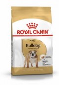 Royal_Canin_Bull_5992a7d7ba2c5.jpg