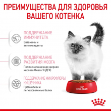 rc-spt-dry-kitten-cv-3-ru_ru