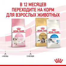 rc-spt-dry-kitten-cv-5_rus