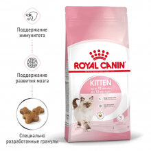 rc-spt-dry-kitten-mv-1_rus