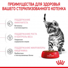 rc-spt-dry-kittenster-cv-3_rus_ru