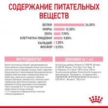 rc-spt-dry-kittenster-cv-6-ru_ru