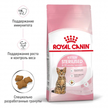 rc-spt-dry-kittenster-mv-1_rus