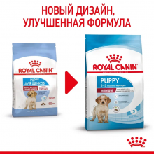 rc-spt-dry-mediumpuppy-cv-1_rus