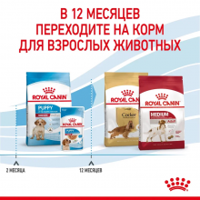 rc-spt-dry-mediumpuppy-cv-5_rus