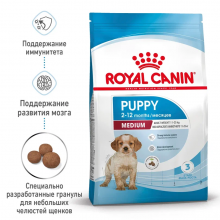 rc-spt-dry-mediumpuppy-mv-1_rus