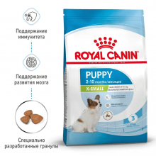 rc-spt-dry-xsmallpuppy-mv-1_rus