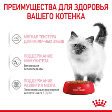 rc-spt-wet-kitten-cig-cv-3-ru_ru