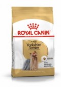 Royal_Canin_York_5746a36c82288.jpg