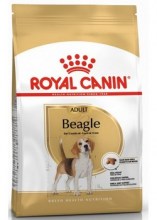 royalcaninbeagleadultdry0001