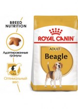 royalcaninbeagleadultdry0002