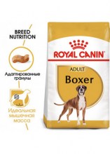 royalcaninboxeradultdry0002