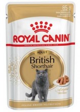 royalcaninbritishshorthairadultsauce0001