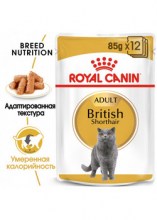 royalcaninbritishshorthairadultsauce0002