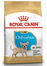 royalcaninchihuahuapuppydry0001