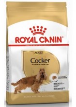 royalcanincockeradultdry0001