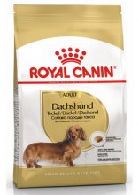 royalcanindachshundadultdry0001