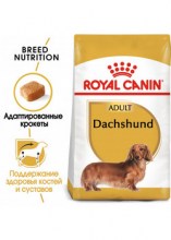 royalcanindachshundadultdry0002