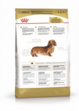 royalcanindachshundadultdry0003